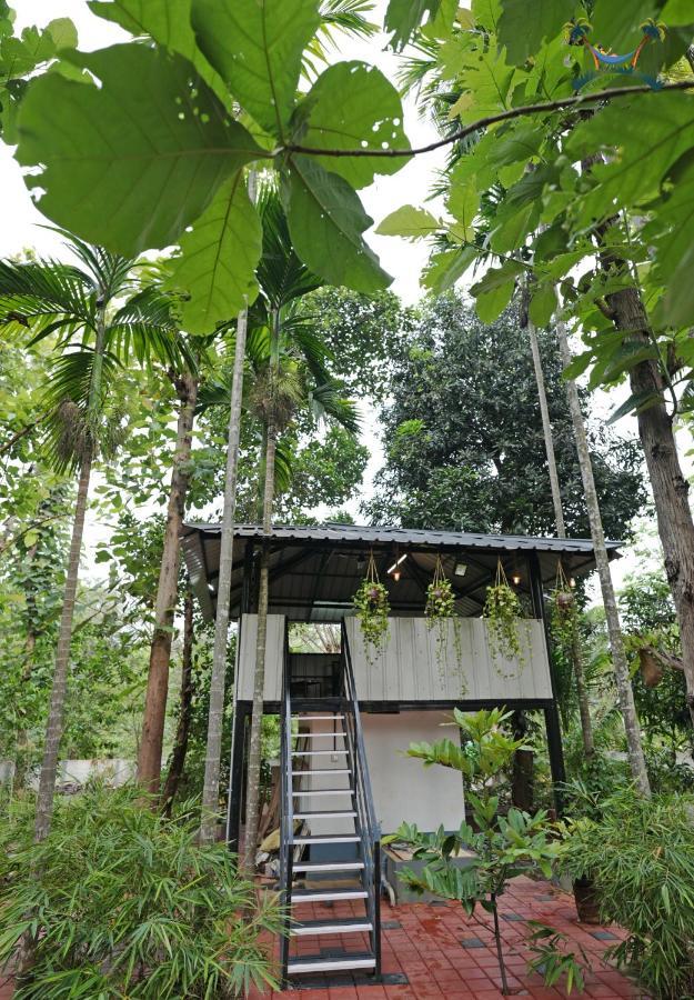 Serenity Villa And Treehouse Palakkad Dış mekan fotoğraf